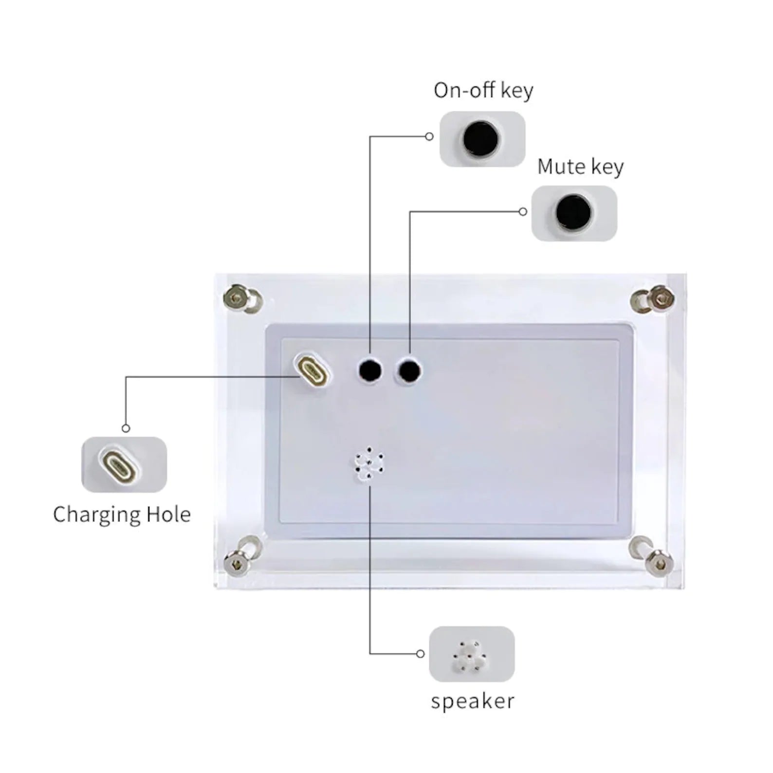 Motion Video Frame