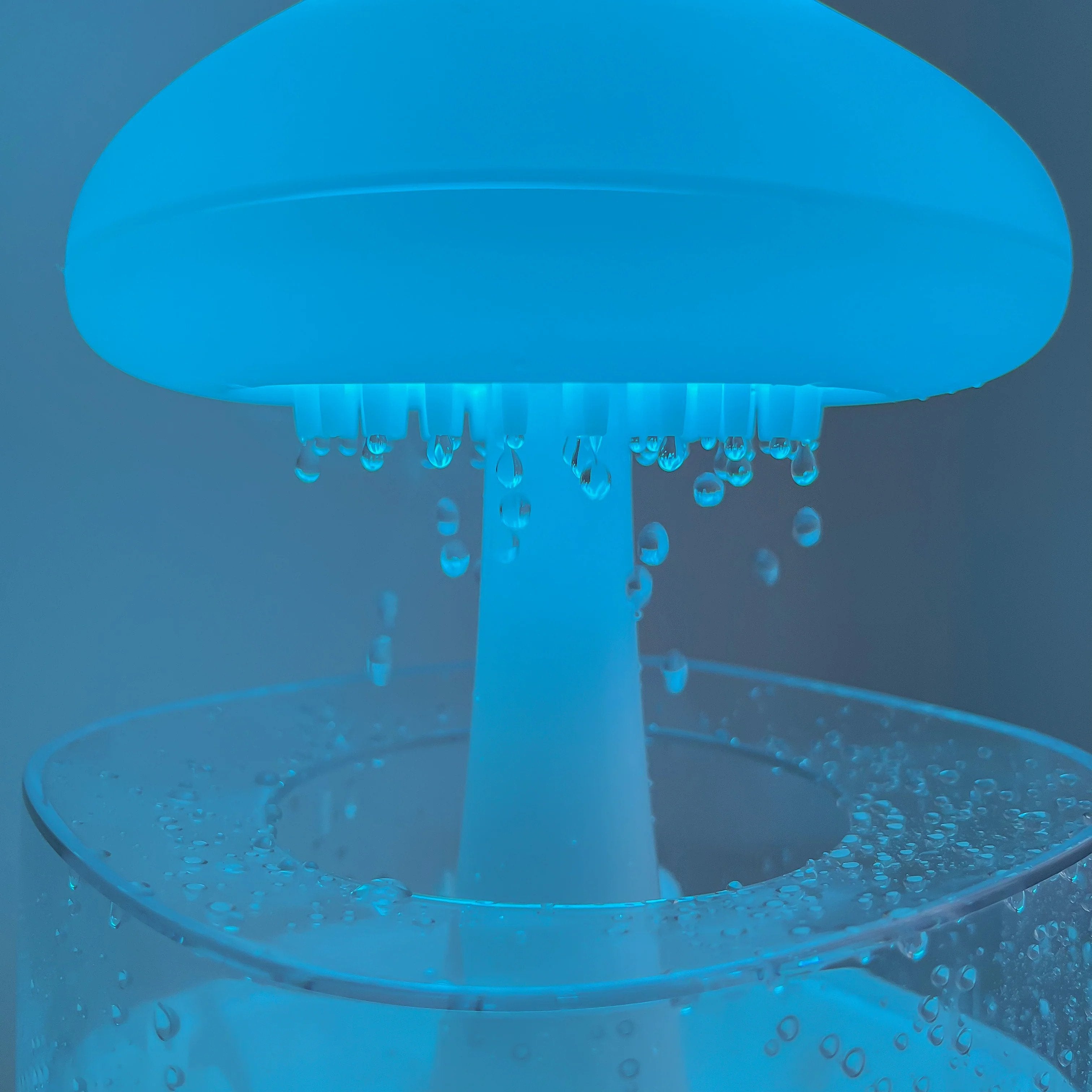 Rain Cloud Humidifier