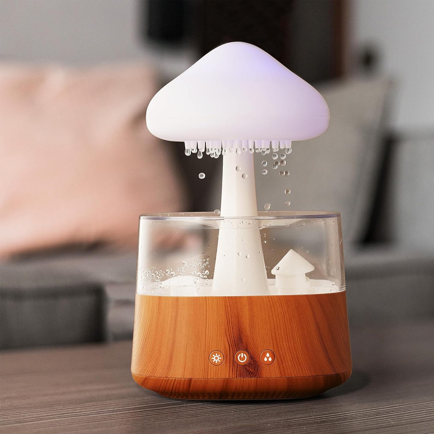 Rain Cloud Humidifier